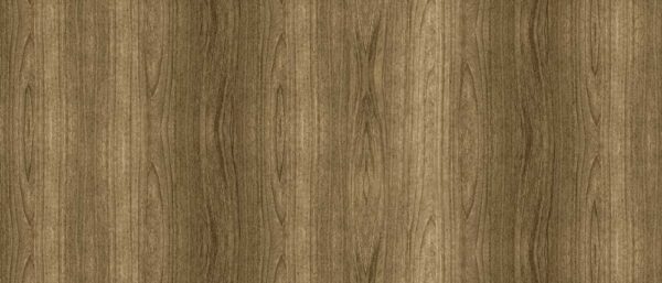 Plastica autoadesiva Bonita cm.45 legno Frene 21X/07